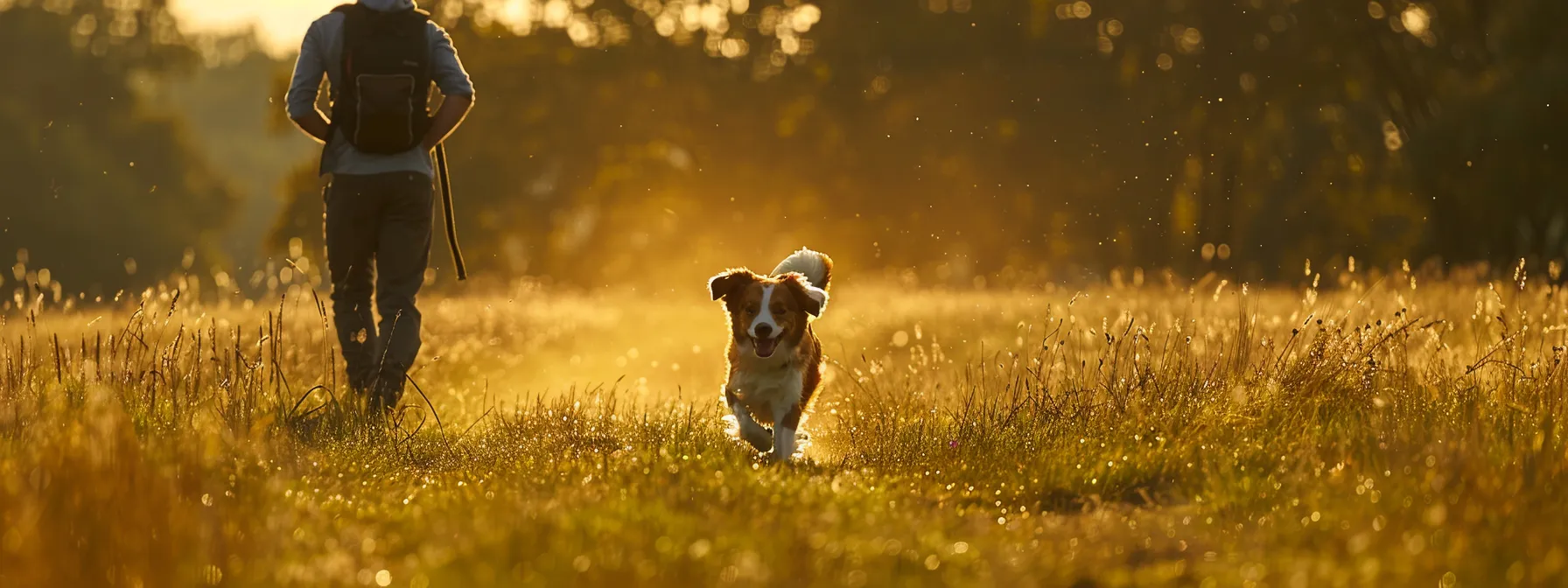 a dog running happily in a field with its owner nearby monitoring its progress.