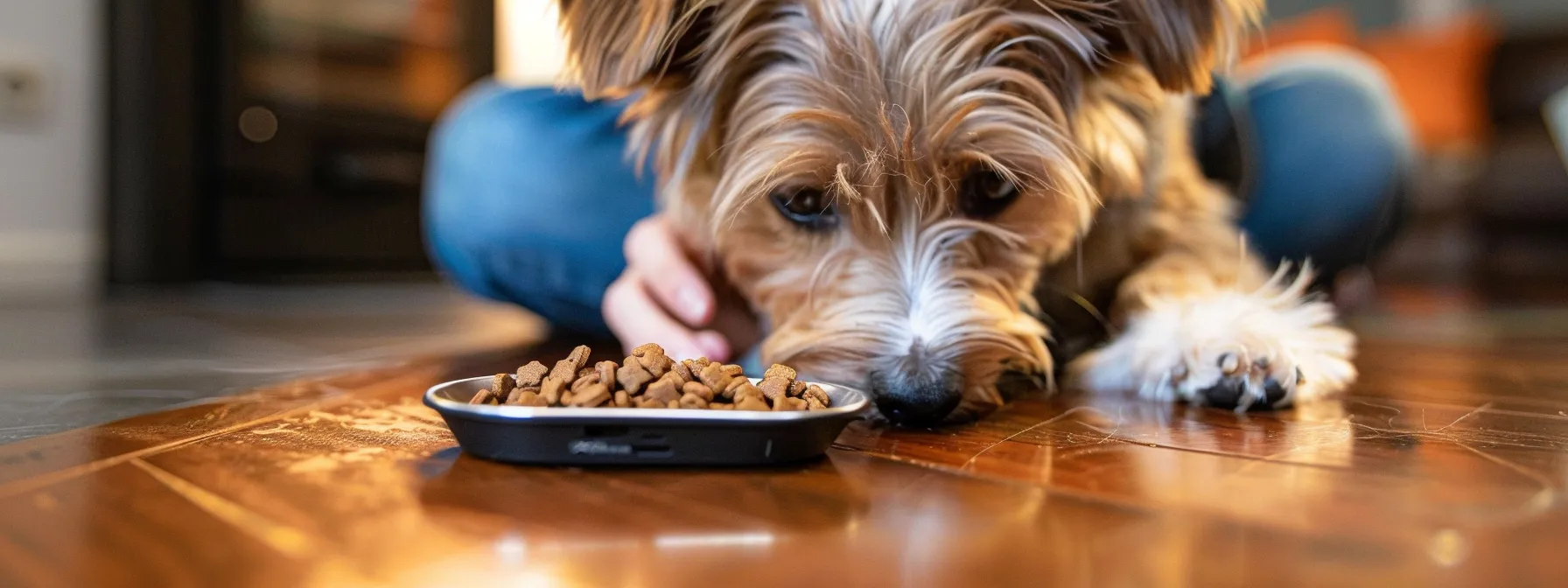 a person using a smartphone to input their pet's specific dietary requirements into a customized pet diet app.